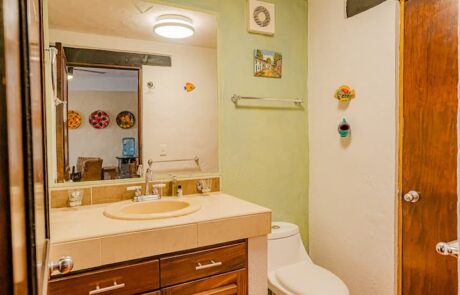 210709b9-ead1-4e59-bc63-59fad2847d1f