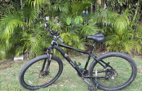 23ac8cd6-c503-4f71-aa53-1e1550885712