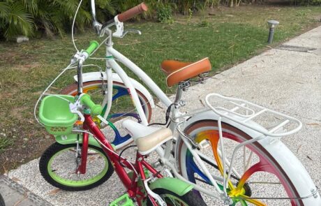 72b0e36b-d8d5-4de9-9cbb-3d21d03eb304