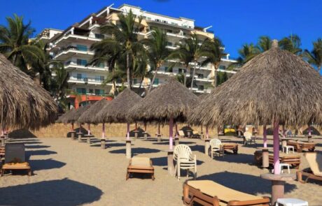 WhatsApp Image 2026-02-12 at 2.08.09 PM