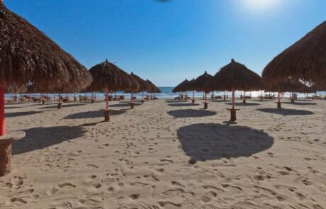 WhatsApp Image 2026-02-12 at 2.08.12 PM