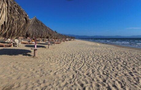 WhatsApp Image 2026-02-12 at 2.08.25 PM