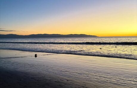 dd616d19-2d46-477e-90c4-6b42c43664bb (1)